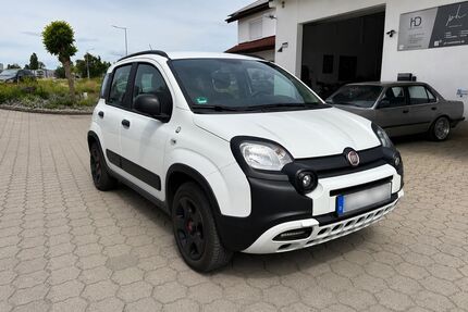 Fiat Panda Gebrauchtwagen