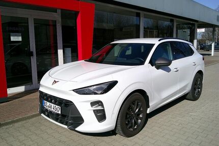 Cupra Terramar Gebrauchtwagen