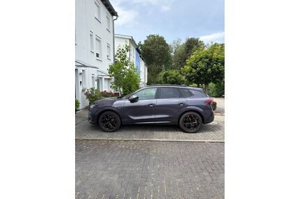 Cupra Terramar Gebrauchtwagen