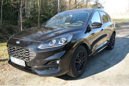 Ford Kuga Gebrauchtwagen