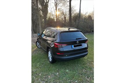 Skoda Kodiaq Gebrauchtwagen