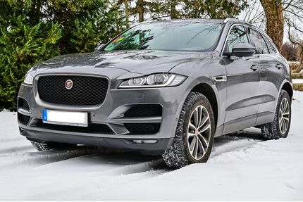 Jaguar F-Pace Gebrauchtwagen