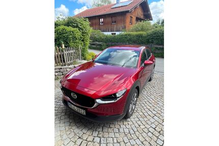 Mazda CX-30 Gebrauchtwagen