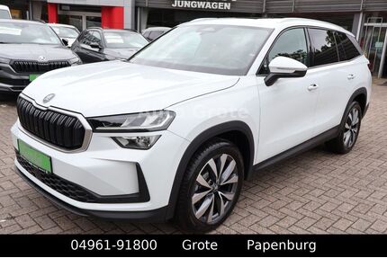 Skoda Kodiaq Gebrauchtwagen