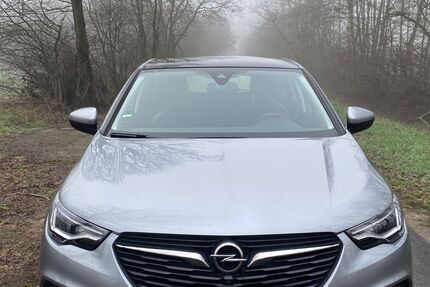 Opel Grandland (X) Gebrauchtwagen