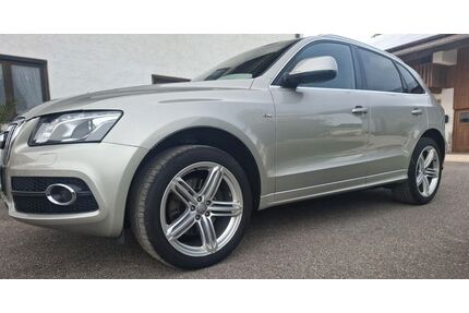 Audi Q5 Gebrauchtwagen