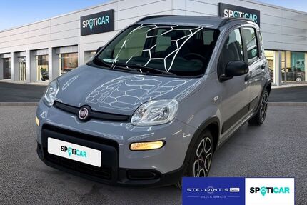 Fiat Panda Gebrauchtwagen