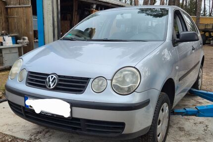 VW Polo Gebrauchtwagen