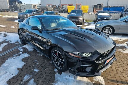 Ford Mustang Gebrauchtwagen