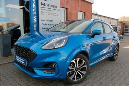 Ford Puma Gebrauchtwagen