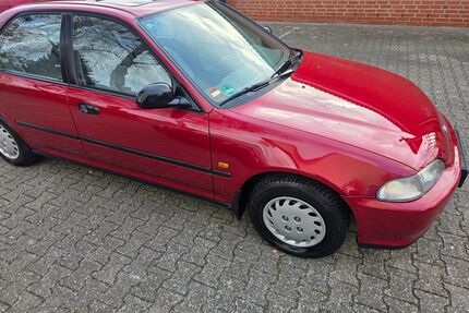 Honda Civic Gebrauchtwagen