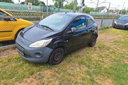 Ford Ka/Ka+ Gebrauchtwagen