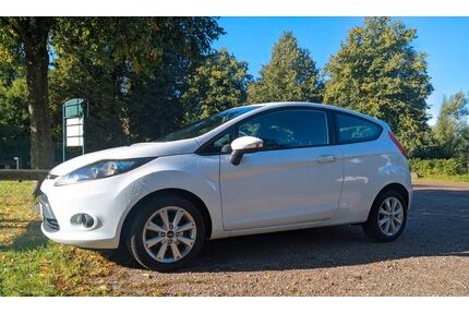 Ford Fiesta Gebrauchtwagen