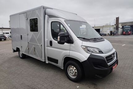 Fiat Ducato Gebrauchtwagen