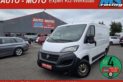 Fiat Ducato Gebrauchtwagen