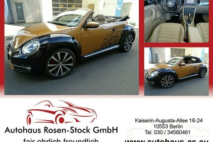 VW Beetle Gebrauchtwagen