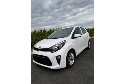 Kia Picanto Gebrauchtwagen