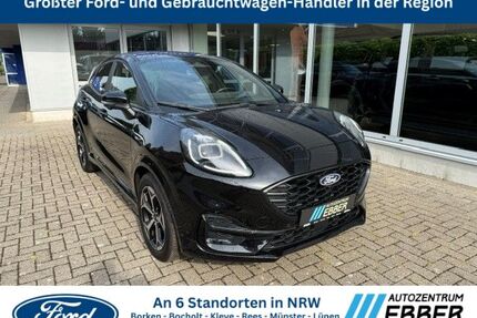 Ford Puma Gebrauchtwagen
