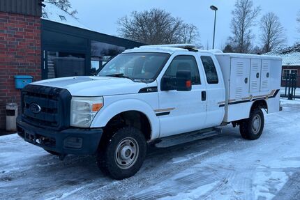 Ford F 250 Gebrauchtwagen