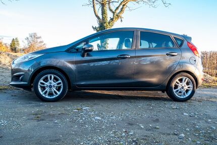Ford Fiesta Gebrauchtwagen