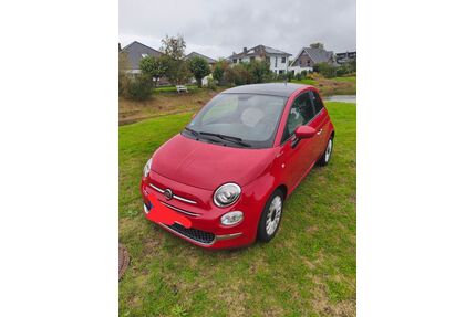 Fiat 500 Gebrauchtwagen