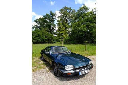Jaguar XJS Gebrauchtwagen