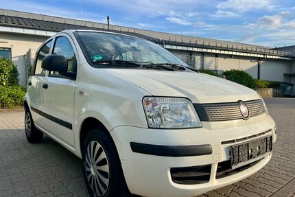 Fiat Panda Gebrauchtwagen