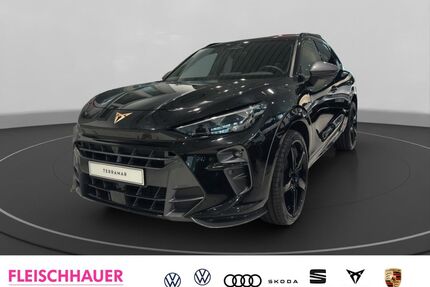 Cupra Terramar Gebrauchtwagen