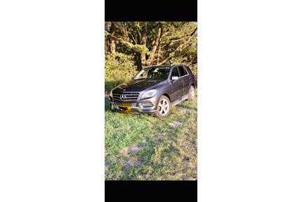 Mercedes-Benz ML 250 Gebrauchtwagen