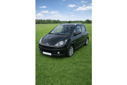 Peugeot 1007 Gebrauchtwagen