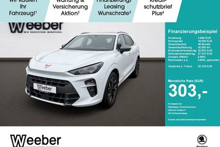 Cupra Terramar Gebrauchtwagen