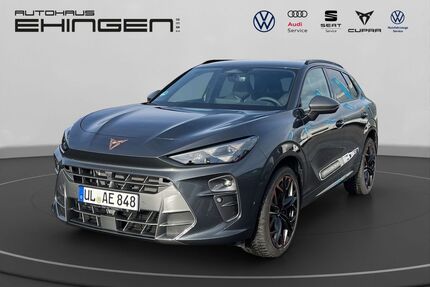 Cupra Terramar Gebrauchtwagen