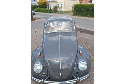 VW Käfer Gebrauchtwagen