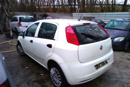 Fiat Punto Gebrauchtwagen