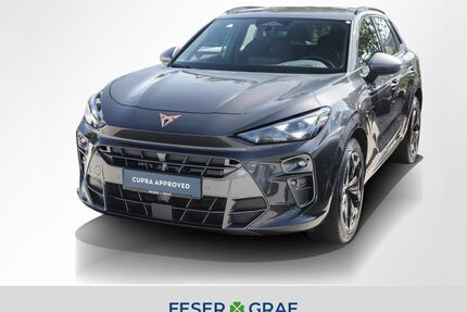 Cupra Terramar Gebrauchtwagen
