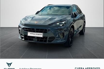 Cupra Terramar Gebrauchtwagen