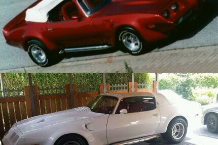 Pontiac Trans Am Gebrauchtwagen