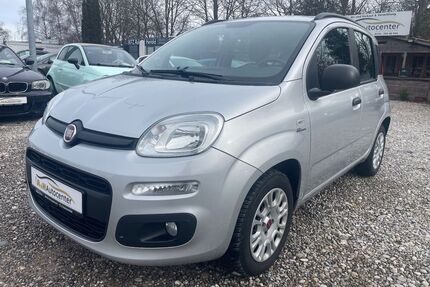 Fiat Panda Gebrauchtwagen