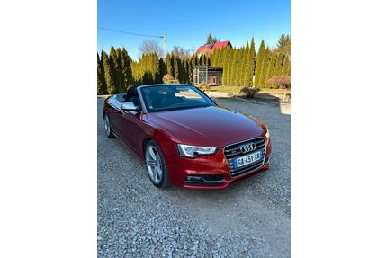 Audi S5 Gebrauchtwagen