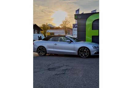Audi A5 Gebrauchtwagen