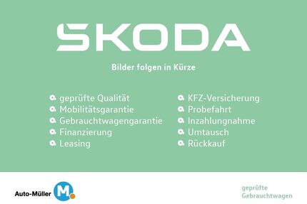 Skoda Kamiq Gebrauchtwagen