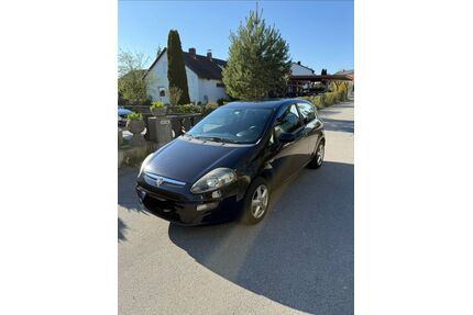 Fiat Punto Gebrauchtwagen