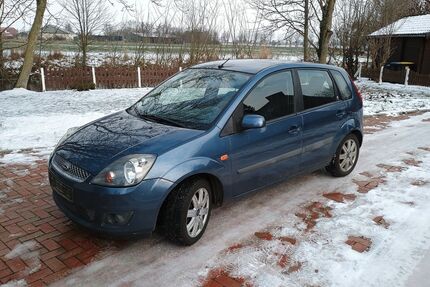 Ford Fiesta Gebrauchtwagen