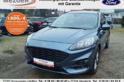 Ford Kuga Gebrauchtwagen
