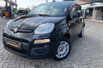 Mercedes-Benz Panda 