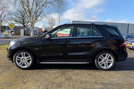 Mercedes-Benz ML 250 Gebrauchtwagen
