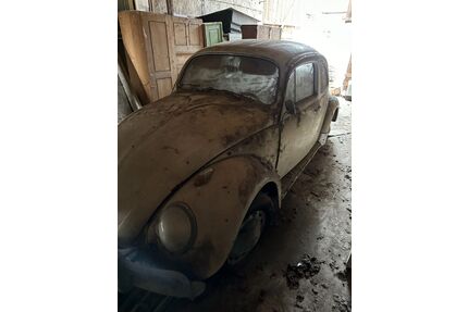 VW Käfer Gebrauchtwagen