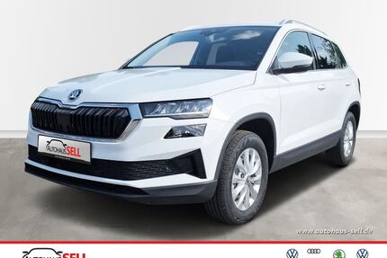 Skoda Karoq Gebrauchtwagen