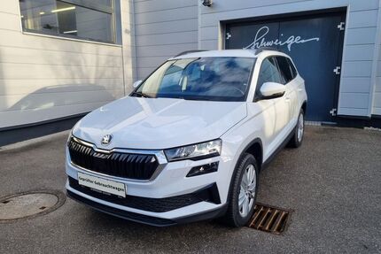 Skoda Karoq Gebrauchtwagen