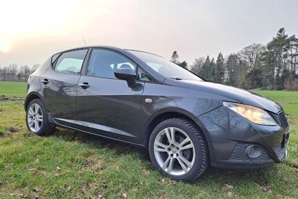 Seat Ibiza Gebrauchtwagen